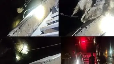 Hakkari'de Yağışlar Sonrası Oğlaklar İtfaiye Ekipleri Tarafından Kurtarıldı