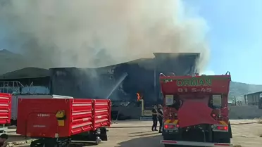 Kozan'da Narenciye Tesisinde Yangın