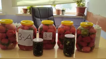 Öğrenciler Yerli Tohumlarla Turşu Kurdu
