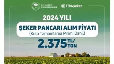 2024 Şeker Pancarı Fiyatı Belirlendi