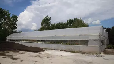 Turhal'da Belediye Serası ile Tasarruf!