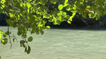 Tunceli'de Yaşlılar İçin Kahvaltı Etkinliği