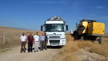 Beylikova'da Yağlık Ayçiçeği Hasadı Yüksek Verimle Gerçekleştirildi