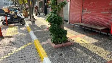 Bandırma'da Evsiz Adamın Ölümü