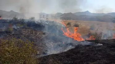 Siirt'te örtü yangını: 25 dönüm zarar