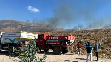 Bodrum'da Ot Yangını Kontrol Altına Alındı