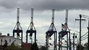 Limanda Grev, Tedarik Zincirini Tehdit Ediyor