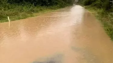 Zonguldak'ta Sel Nedeniyle Ulaşım Zorlaştı