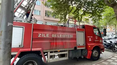 Kedi İtfaiye tarafından Kurtarıldı