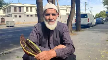 Keçiboynuzu ile Sağlıklı Yaşam ve Hayvan Besleme