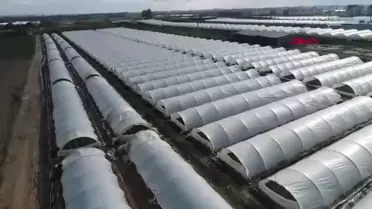 Antalya'da Tarım İşçisi Arayışı Artıyor