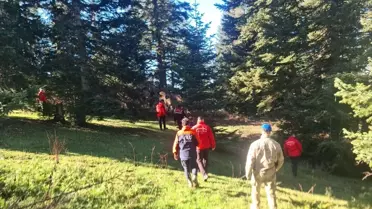 Ilgaz'da Mantar Toplarken Öldü