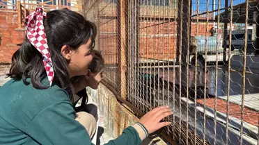 Elazığ'da Hayvanları Koruma Günü Etkinliği