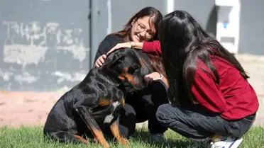 Aliağa'da Pati Park, Dünya Hayvanları Koruma Günü'nde Ziyaretçi Akınına Uğradı