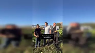 Kaya'dan Pancar Üreticilerine Destek Çağrısı