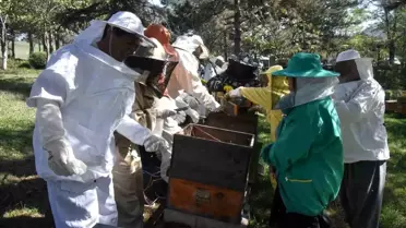 DÜZCE'DE Bal Arısı Zehri Kursu Düzenlendi