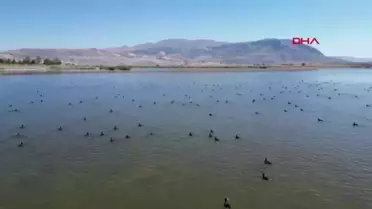 Ulaş Gölü'nde Su Seviyesi Düşüyor