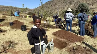 Lesotho'ya 2000 Fidan Hibe Edildi