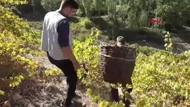 Hizan'da Geleneksel Pekmez Yapımı