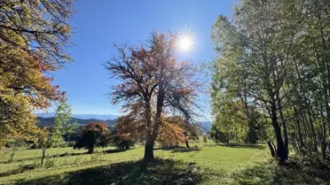 Şavşat'ta Sonbahar Güzelliği