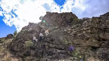Van'da Kaya ve Ağaç Balı Arayışı