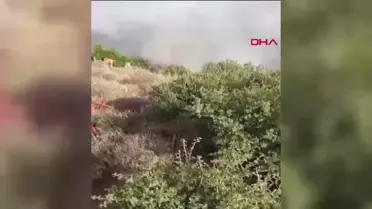 Erdek'te Orman Yangını Kontrol Altına Alındı