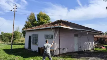 Kahverengi Kokarca ile Mücadele Başladı