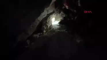 Çorum'da Yavru Köpekler Kuyuya Düştü