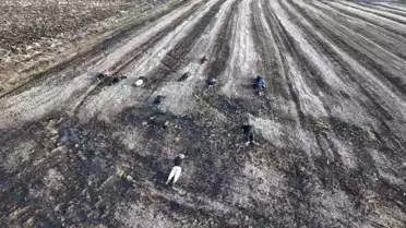 Tekirdağ'da 11 Kaçak Göçmen Yakalandı