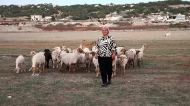 Kadın Çoban Fatma'nın Başarı Hikayesi
