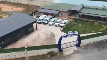 Gebze'de 45 Hayvanın Ölümü Üzerine Soruşturma Başlatıldı