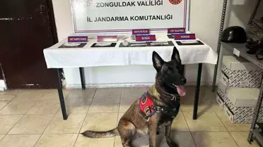 Zonguldak'ta Güvenlik Denetimleri: 19 Suçlu Yakalandı