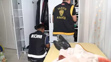 Mersin ve Şırnak'ta Kaçakçılık Operasyonu
