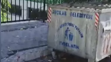 Avcılar'da Yavru Köpekler Öldürüldü