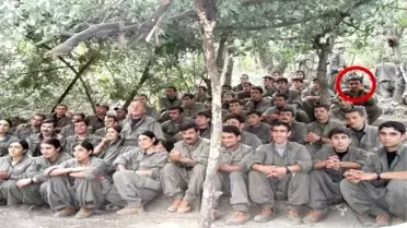MİT'ten Tel Rıfat'ta PKK/YPG Operasyonu