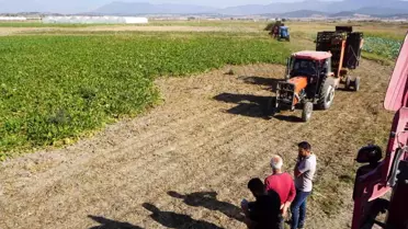Burdur'da Pancar Hasadı Devam Ediyor