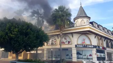 Kemer'de Palmiye Ağaçlarına Yangın Korkuttu