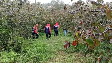 Hurma Toplarken Düştü, Hayatını Kaybetti