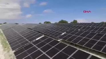 Turkcell Uşak'ta Güneş Enerjisi Santrali Açtı