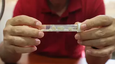 Yeni su böceği türüne kazada yaşamını yitiren akademisyenin adı verildi