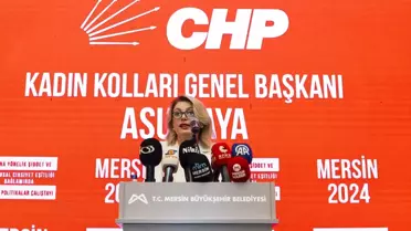 CHP Kadına Yönelik Şiddet Çalıştayı Mersin'de Başladı