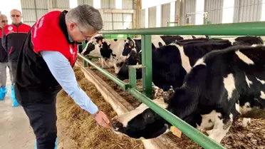 Balıkesir'de Hastalıktan Ari Hayvancılık Artıyor