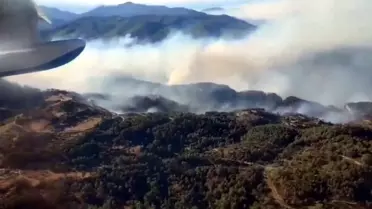Milas'taki Yangın Kontrol Altında