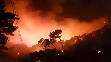 Muğla'da Orman Yangınları Devam Ediyor