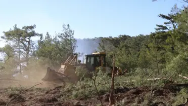 Muğla'da Orman Yangını Kontrol Altına Alındı