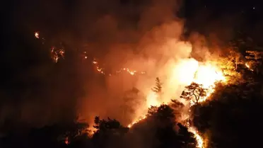 Muğla'da Orman Yangınına Müdahale Devam Ediyor