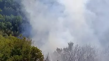 Antakya'da Orman Yangını Söndürüldü