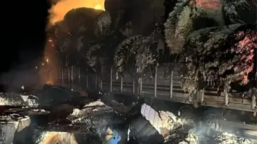 Şanlıurfa'da Pamuk Yüklü Tır Yangını
