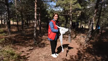 Ormanlar İçin Temizlik Etkinliği