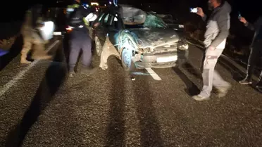 Elazığ'da İneğe Çarpan Araçta 3 Yaralı